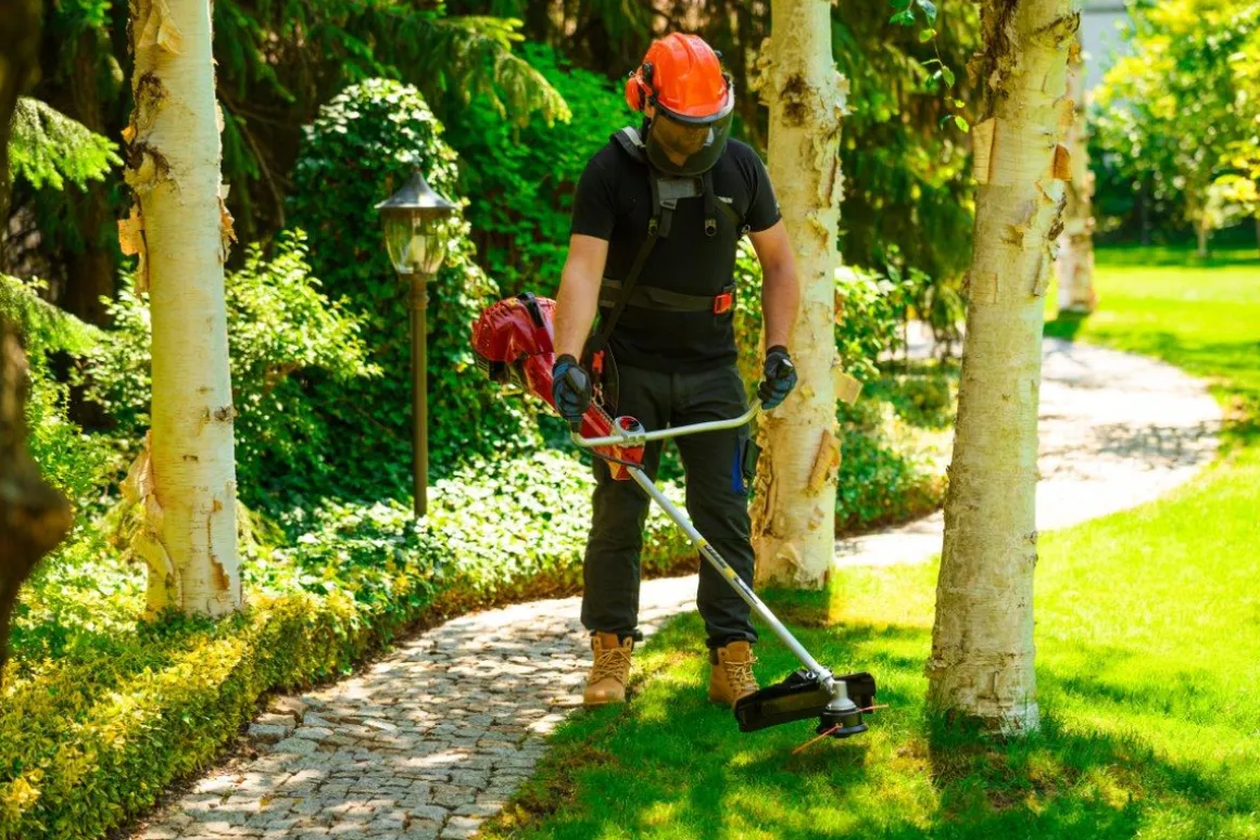 CEDRUS WK520X KOSA SPALINOWA DO TRAWY PODKASZARKA WYKASZARKA 2 KM EWIMAX - OFICJALNY DYSTRYBUTOR - AUTORYZOWANY DEALER CEDRUS