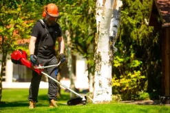 CEDRUS WK520X KOSA SPALINOWA DO TRAWY PODKASZARKA WYKASZARKA 2 KM EWIMAX - OFICJALNY DYSTRYBUTOR - AUTORYZOWANY DEALER CEDRUS