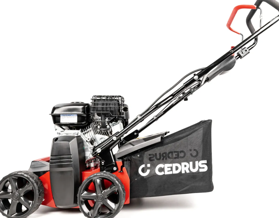 CEDRUS WR01-B WERTYKULATOR SPALINOWY DO TRAWY AREATOR 2w1 6 KM B&S Briggs & Stratton CR950 - EWIMAX - OFICJALNY DYSTRYBUTOR - AUTORYZOWANY DEALER CEDRUS