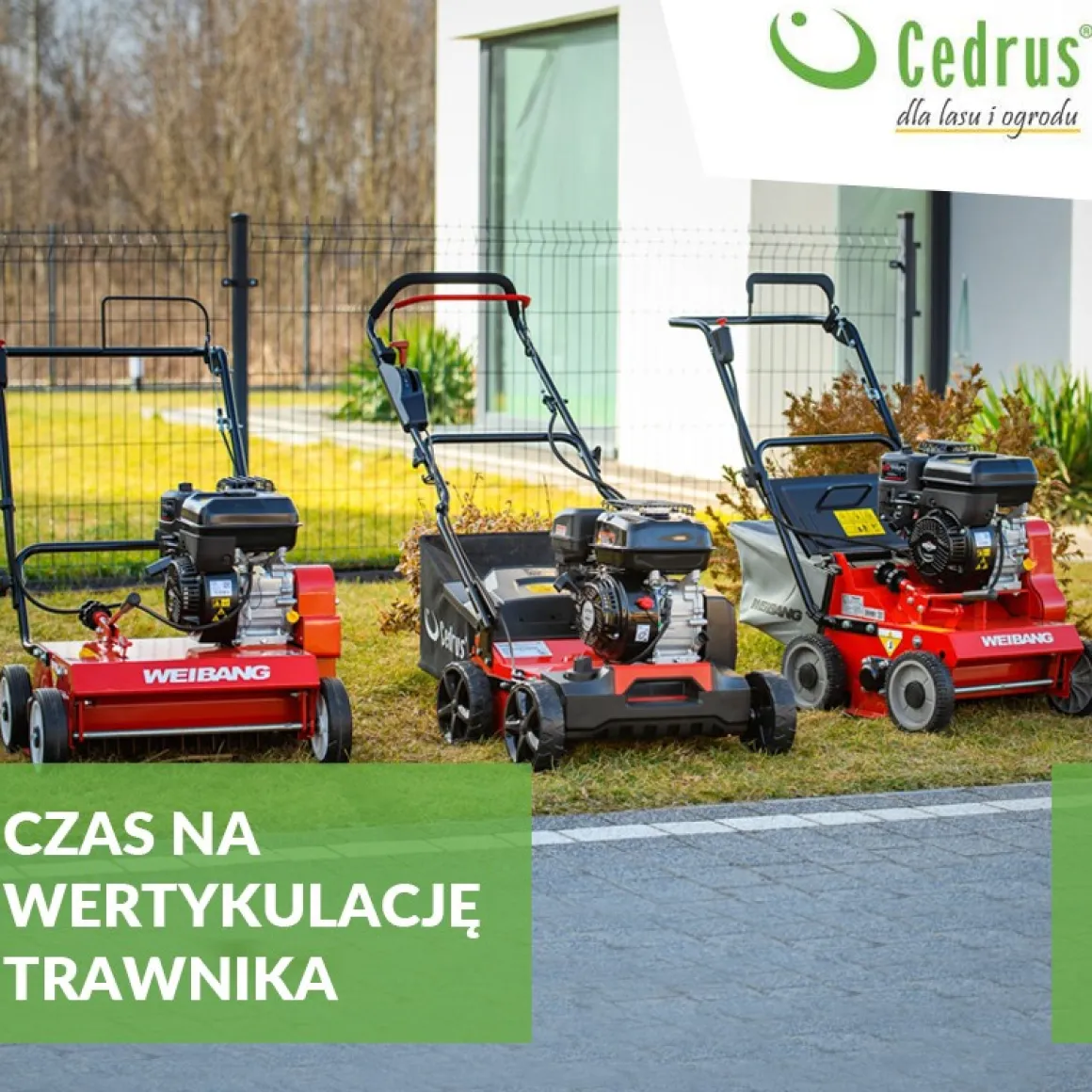 CEDRUS WR01-B WERTYKULATOR SPALINOWY DO TRAWY AREATOR 2w1 6 KM B&S Briggs & Stratton CR950 - EWIMAX - OFICJALNY DYSTRYBUTOR - AUTORYZOWANY DEALER CEDRUS