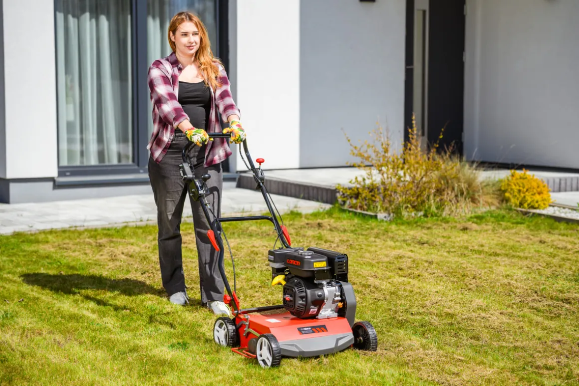 CEDRUS WR02 R WERTYKULATOR SPALINOWY DO TRAWY AREATOR 6 KM NOŻE WAHLIWE - EWIMAX - OFICJALNY DYSTRYBUTOR - AUTORYZOWANY DEALER CEDRUS