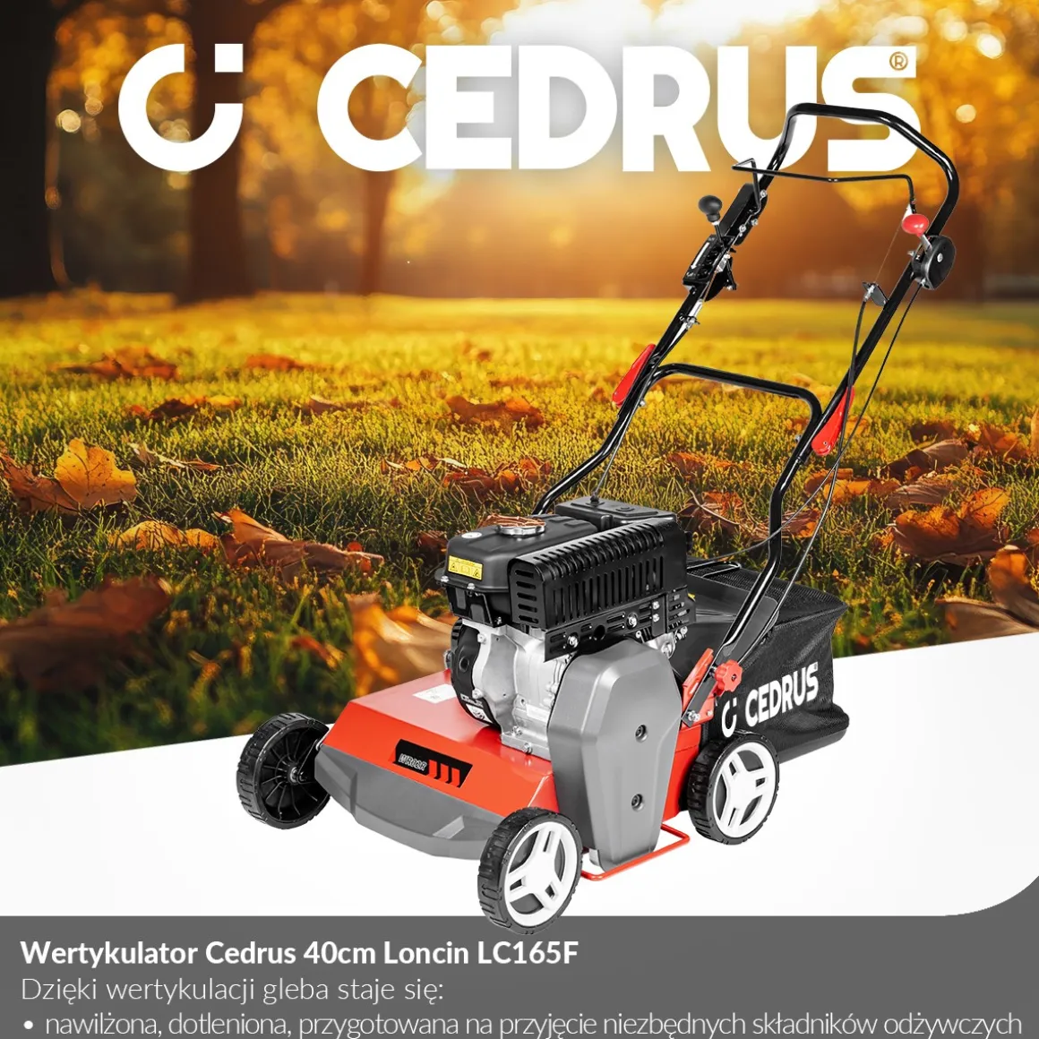 CEDRUS WR02 R WERTYKULATOR SPALINOWY DO TRAWY AREATOR 6 KM NOŻE WAHLIWE - EWIMAX - OFICJALNY DYSTRYBUTOR - AUTORYZOWANY DEALER CEDRUS