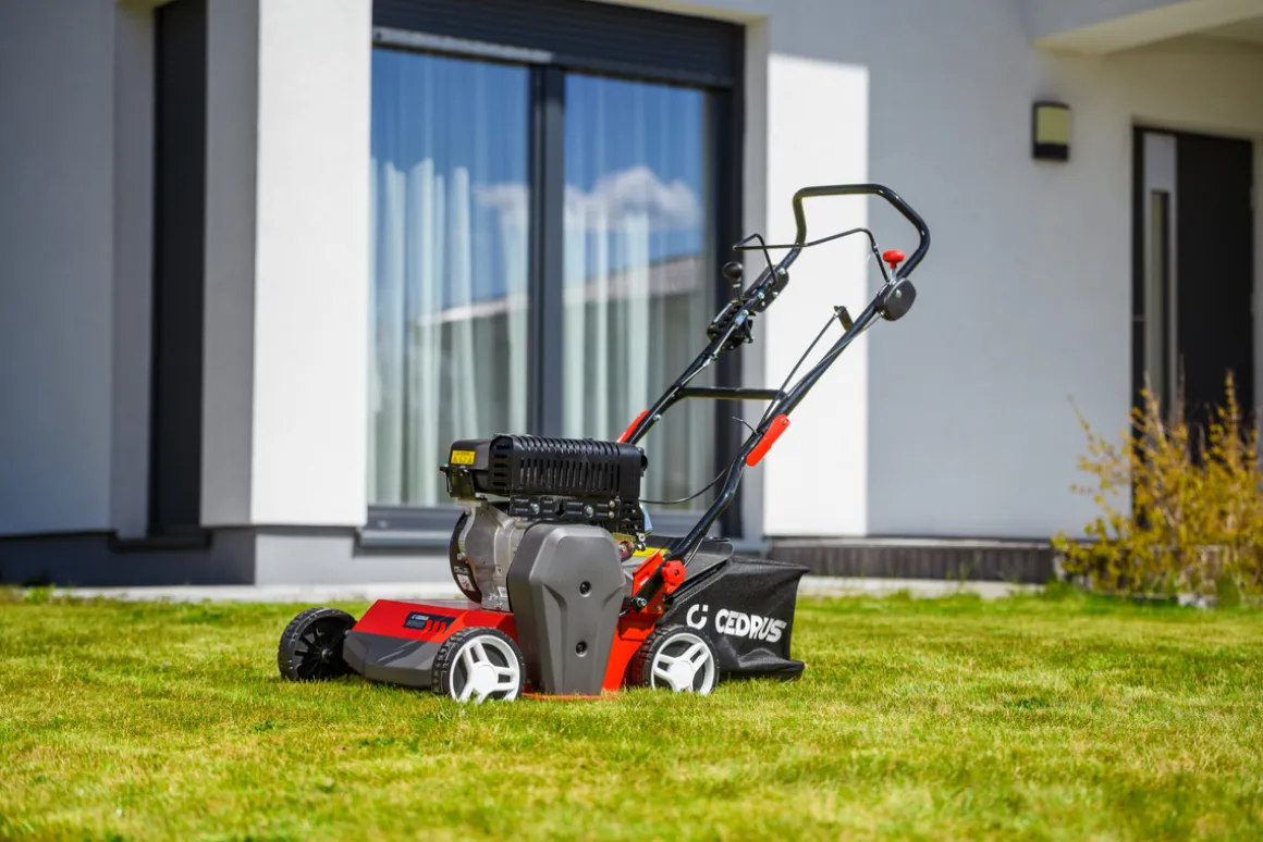CEDRUS WR02 R WERTYKULATOR SPALINOWY DO TRAWY AREATOR 6 KM NOŻE WAHLIWE - EWIMAX - OFICJALNY DYSTRYBUTOR - AUTORYZOWANY DEALER CEDRUS