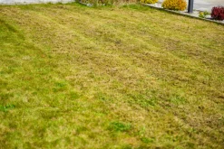CEDRUS WR02 R WERTYKULATOR SPALINOWY DO TRAWY AREATOR 6 KM NOŻE WAHLIWE - EWIMAX - OFICJALNY DYSTRYBUTOR - AUTORYZOWANY DEALER CEDRUS