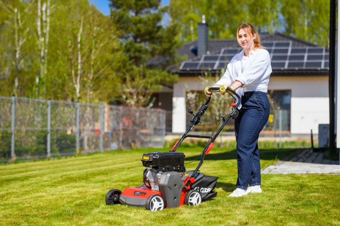 CEDRUS WR02 R WERTYKULATOR SPALINOWY DO TRAWY AREATOR 6 KM NOŻE WAHLIWE - EWIMAX - OFICJALNY DYSTRYBUTOR - AUTORYZOWANY DEALER CEDRUS