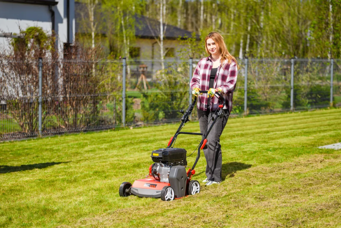 CEDRUS WR02 R WERTYKULATOR SPALINOWY DO TRAWY AREATOR 6 KM NOŻE WAHLIWE - EWIMAX - OFICJALNY DYSTRYBUTOR - AUTORYZOWANY DEALER CEDRUS