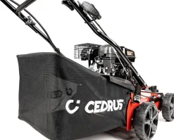 CEDRUS WR01 WERTYKULATOR SPALINOWY DO TRAWY AREATOR 2w1 5.5 KM - EWIMAX - OFICJALNY DYSTRYBUTOR - AUTORYZOWANY DEALER CEDRUS