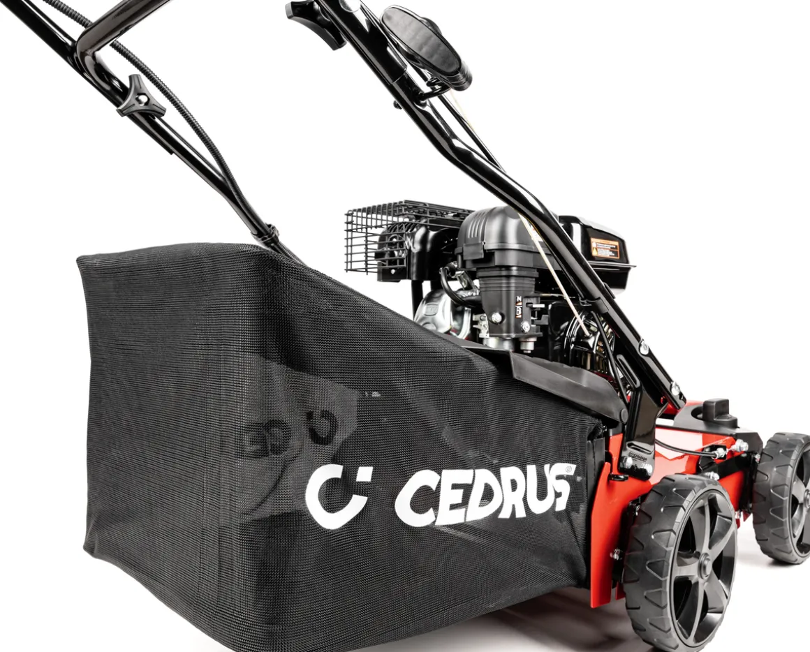 CEDRUS WR01 WERTYKULATOR SPALINOWY DO TRAWY AREATOR 2w1 5.5 KM - EWIMAX - OFICJALNY DYSTRYBUTOR - AUTORYZOWANY DEALER CEDRUS