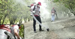 CIFARELLI V1200B ODKURZACZ DO ORZECHÓW KASZTANÓW ŻOŁĘDZI SPALINOWY PROFI PROFESJONALNY - OFICJALNY DYSTRYBUTOR - AUTORYZOWANY DEALER CIFARELLI
