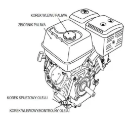 DEDRA DED8830 ZAGĘSZCZARKA DO GRUNTU 88KG 5.5km KÓŁKA TRANSPORTOWE - OFICJALNY DYSTRYBUTOR - AUTORYZOWANY DEALER DEDRA
