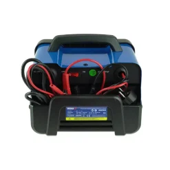DEDRA DEP021 Prostownik ładowarka akumulatorów 12/24V 25-180Ah z BOOST