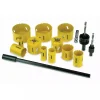 DEDRA 08WZ04 Zestaw otwornic bimetalowych HSS Bi-Metal 15 szt. wycinaki do metalu