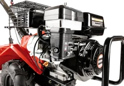 Glebogryzarka z napędem Cedrus GLX-GT65-2L 6,5KM silnik Loncin