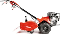 Glebogryzarka z napędem Cedrus GLX-GT65-2L 6,5KM silnik Loncin