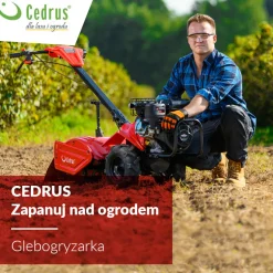 Glebogryzarka z napędem Cedrus GLX-GT65-2L 6,5KM silnik Loncin
