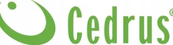 Glebogryzarka z napędem Cedrus GLX-GT65-2L 6,5KM silnik Loncin