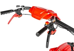 Glebogryzarka z napędem Cedrus GLX-GT65-2L 6,5KM silnik Loncin