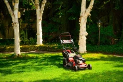 HONDA KOSIARKA SPALINOWA DO TRAWY CEDRUS KS53S-H AL ALUMIONIOWA Z NAPĘDEM HONDA GCV200 5w1 53cm / 4.1 KM - EWIMAX - OFICJALNY DYSTRYBUTOR - AUTORYZOWANY DEALER CEDRUS