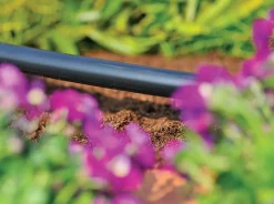 Hozelock OO-HOZ2764 rura zasilająca LDPE 13 mm 25 m do nawadniania ogrodu