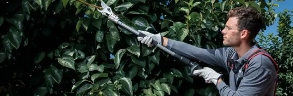 KAMIKAZE KV 155 sekator akumulatorowy na wysięgniku 1,54 m do gałęzi 38 mm OTH-GSKAKV155