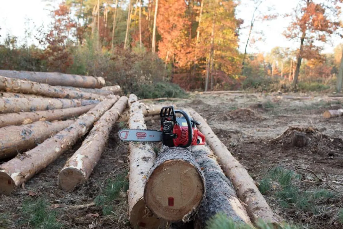 MARUYAMA MCV6200 PIŁA PILARKA PRZECINARKA SPALINOWA ŁANCUCHOWA DO DREWNA 4.6KM / 50cm