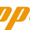 NORTON CLIPPER TT251 PIŁA PILARKA PRZECINARKA DO GRESU CERAMIKI GLAZURY PŁYTEK BUDOWLANA + WALIZKA OFICJALNY DYSTRYBUTOR - AUTORYZOWANY DEALER NORTON CLIPPER