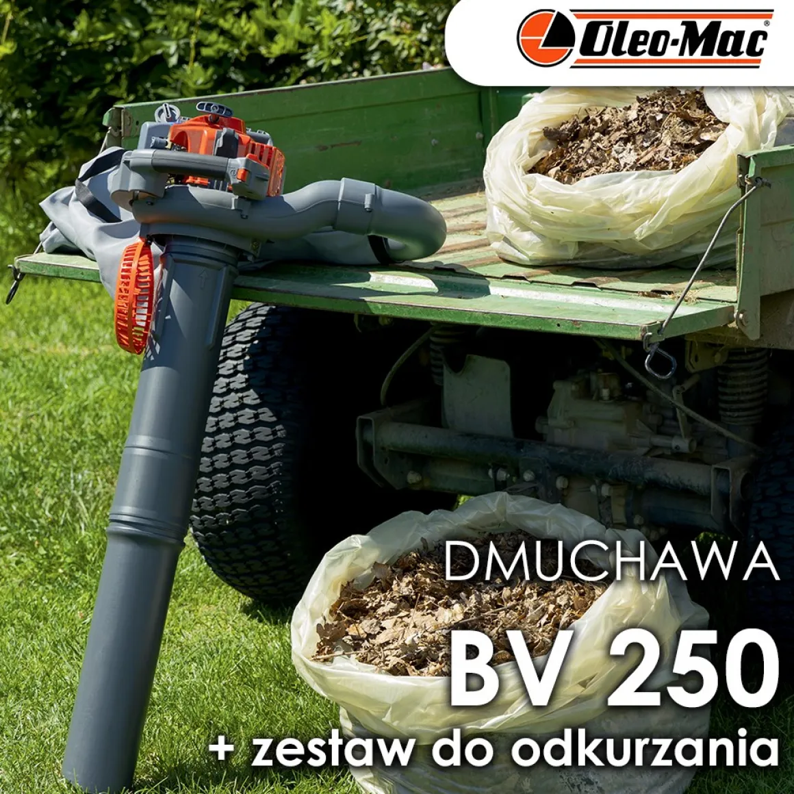 OLEO MAC BV 250 ODKURZACZ SPALINOWY OGRODOWY DMUCHAWA DO LIŚCI + ZESTAW DO ODKURZANIA KLASA PREMIUM 56609001E5Z EWIMAX-OFICJALNY DYSTRYBUTOR - AUTORYZOWANY DEALER OLEO-MAC