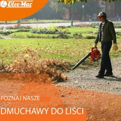 OLEO MAC BV 250 ODKURZACZ SPALINOWY OGRODOWY DMUCHAWA DO LIŚCI KLASA PREMIUM 56609001E5 EWIMAX-OFICJALNY DYSTRYBUTOR - AUTORYZOWANY DEALER OLEO-MAC