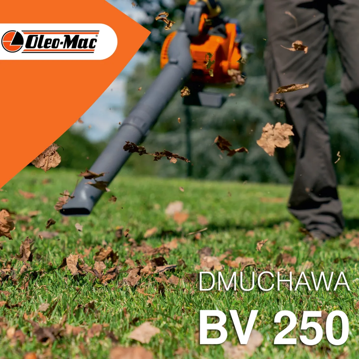 OLEO MAC BV 250 ODKURZACZ SPALINOWY OGRODOWY DMUCHAWA DO LIŚCI KLASA PREMIUM 56609001E5 EWIMAX-OFICJALNY DYSTRYBUTOR - AUTORYZOWANY DEALER OLEO-MAC