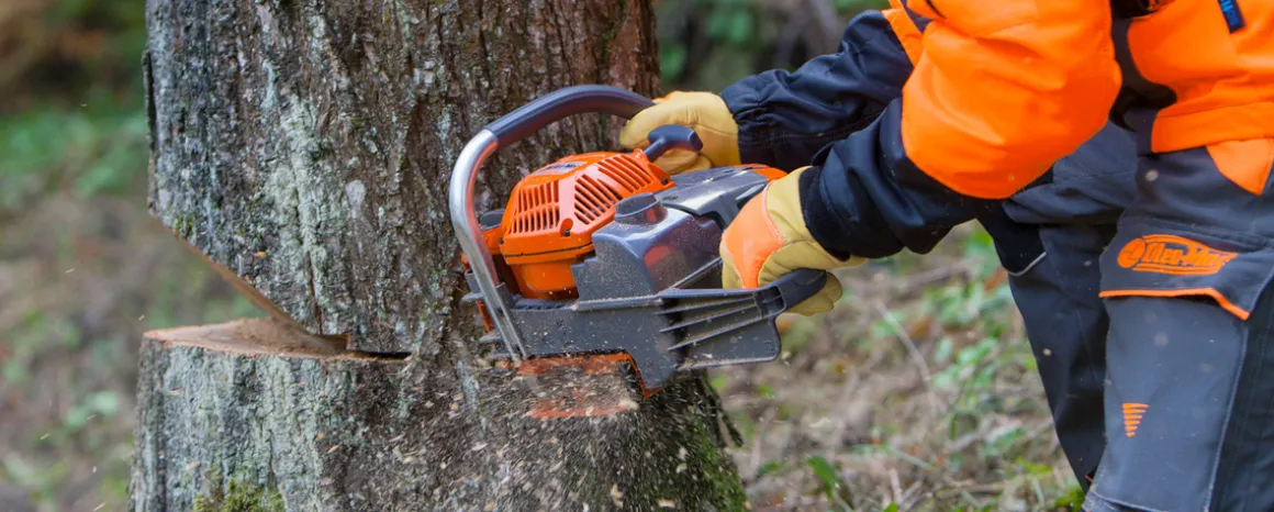 OLEO-MAC GS 630 PROFI PROFESJONALNA PIŁA PILARKA PRZECINARKA SPALINOWA ŁANCUCHOWA DO DREWNA 5,2 KM PREMIUM 50029127E5 GS630 AUTORYZOWANY DEALER OLEO-MAC