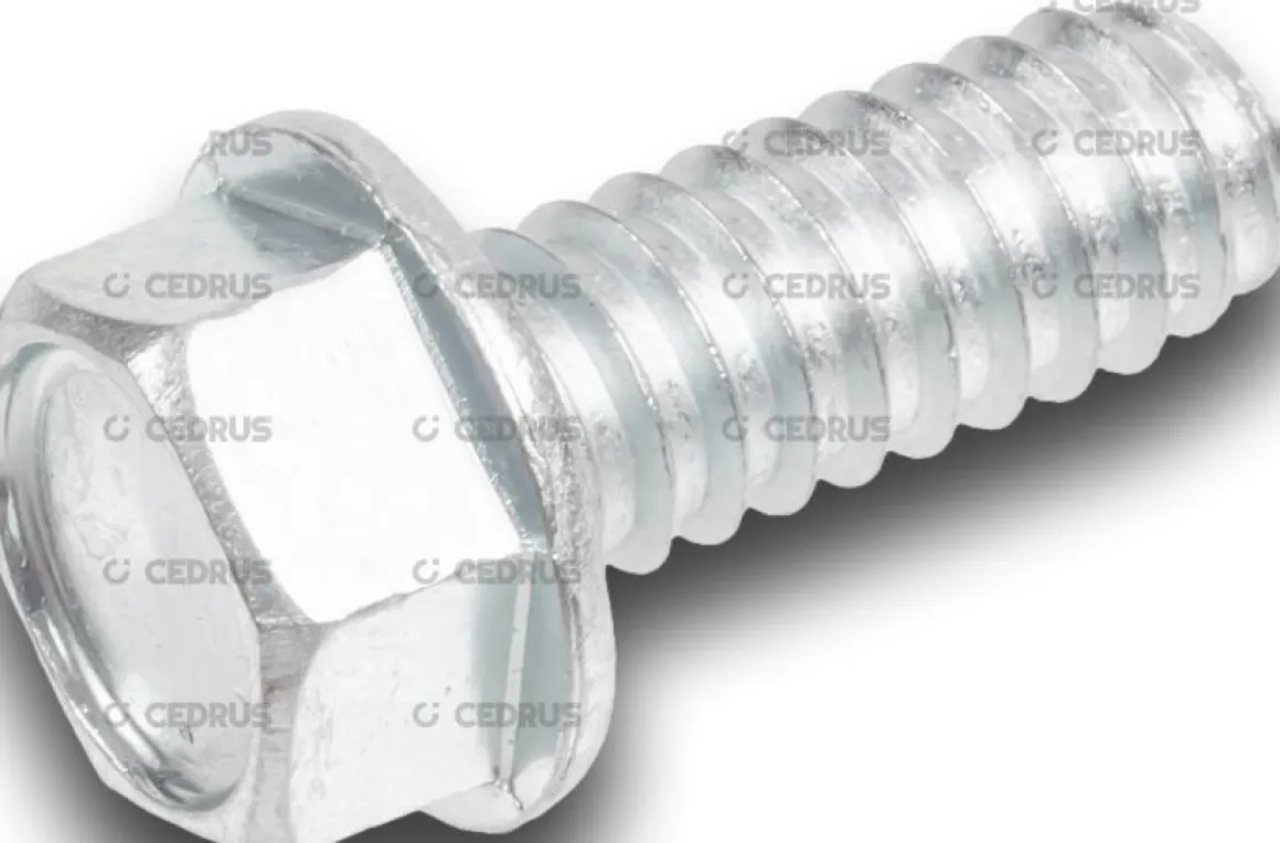 ŚRUBY ŚRUBA SAMOGWINTUJĄCA DO MOCOWANIA MONTAŻU WKRĘCANIA SILNIKA LONCIN LC1P92F1 EMAK DO TRAKTORKA SECO , OLEO-MAC , CEDRUS 3/8"x1" N309578548 CZĘŚĆ ORYGINALNA