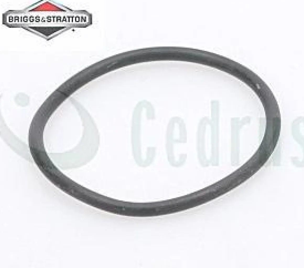 Uszczelka oring króćca ssącego B&S Intek / Powerbuilt CZĘŚĆ ORYGINALNA 697123
