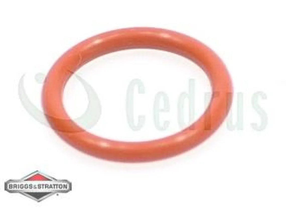 Uszczelka oring wlewu oleju B&S Quantum Intek CZĘŚĆ ORYGINALNA 692296
