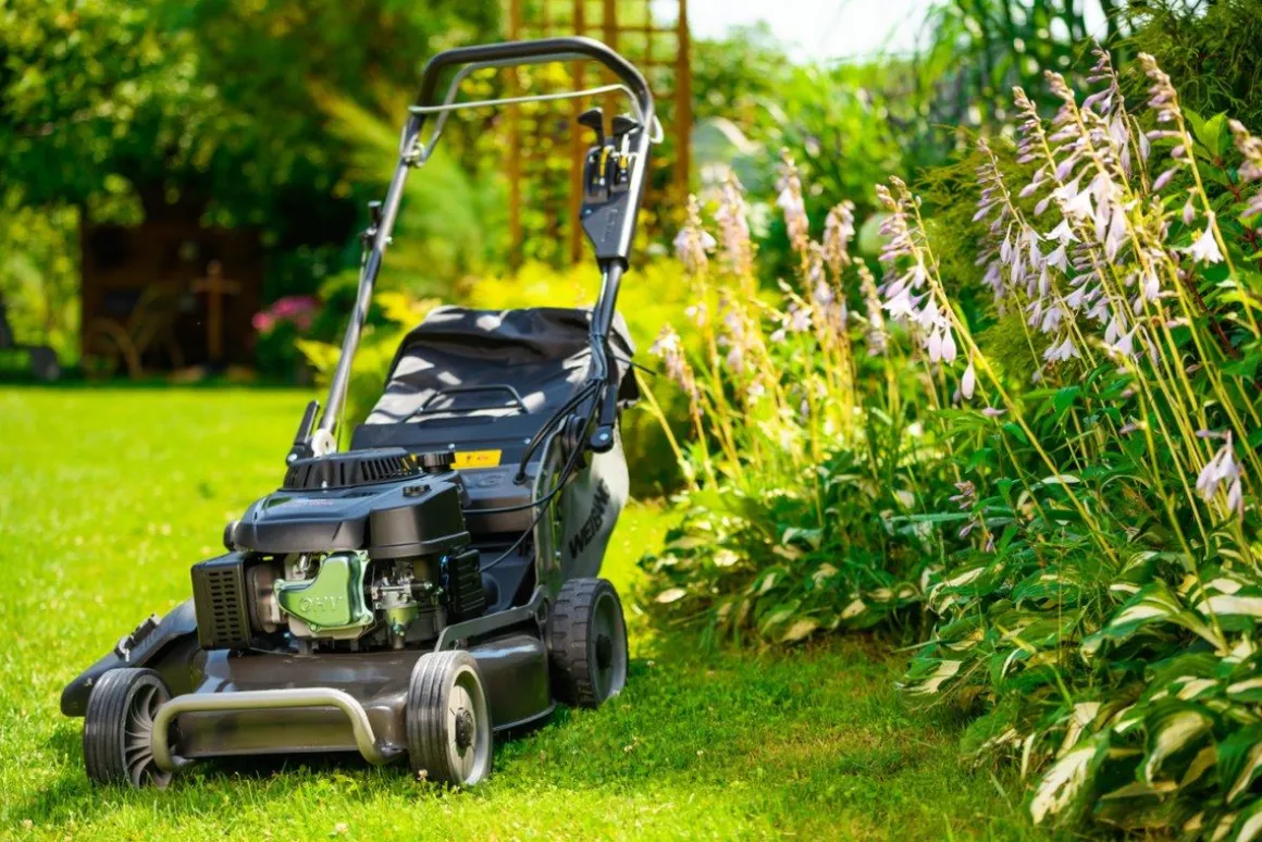 WEIBANG WB537 SC V 3IN1 KOSIARKA SPALINOWA DO TRAWY Z NAPĘDEM WAŁ KARDANA / PROFESJONALNA 6.5 KM / 53 cm - OFICJALNY DYSTRYBUTOR - AUTORYZOWANY DEALER WEIBANG