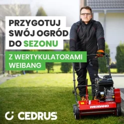 Wertykulator spalinowy Weibang WB384 RB silnik Briggs&Stratton
