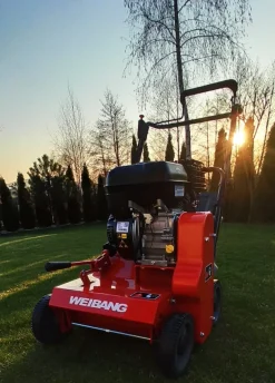 Wertykulator spalinowy Weibang WB384 RB silnik Briggs&Stratton