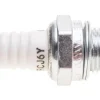 Świeca zapłonowa CEDRUS DM01 OP01 070039