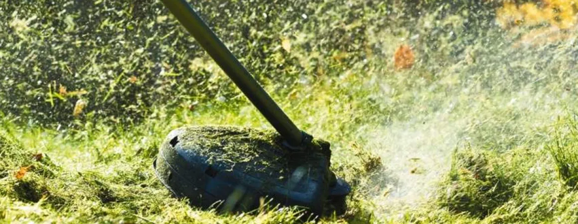 Żyłka tnąca 2.4/15m k okrągła pomarańcz CEDRUS DBPLCEDCN01/04ROY - OFICJALNY DYSTRYBUTOR - AUTORYZOWANY DEALER CEDRUS