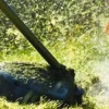 Żyłka tnąca 2.7/70m okrągła pomarańcz Rolka Szpula CEDRUS DBPLCEDBD01/05RO - OFICJALNY DYSTRYBUTOR - AUTORYZOWANY DEALER CEDRUS